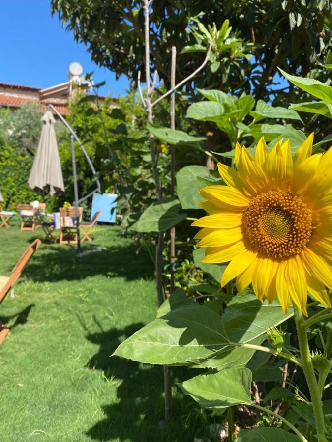 Lemon-Ada Butik Otel Kusadası Exterior foto